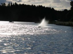 Gamla bilder 2