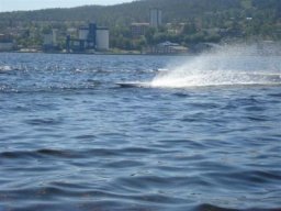 Gamla bilder 2