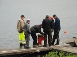Gamla bilder 3