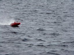Gamla bilder 4